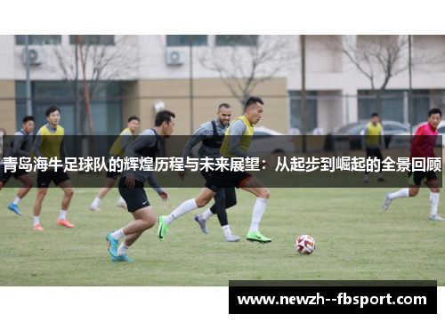 青岛海牛足球队的辉煌历程与未来展望：从起步到崛起的全景回顾